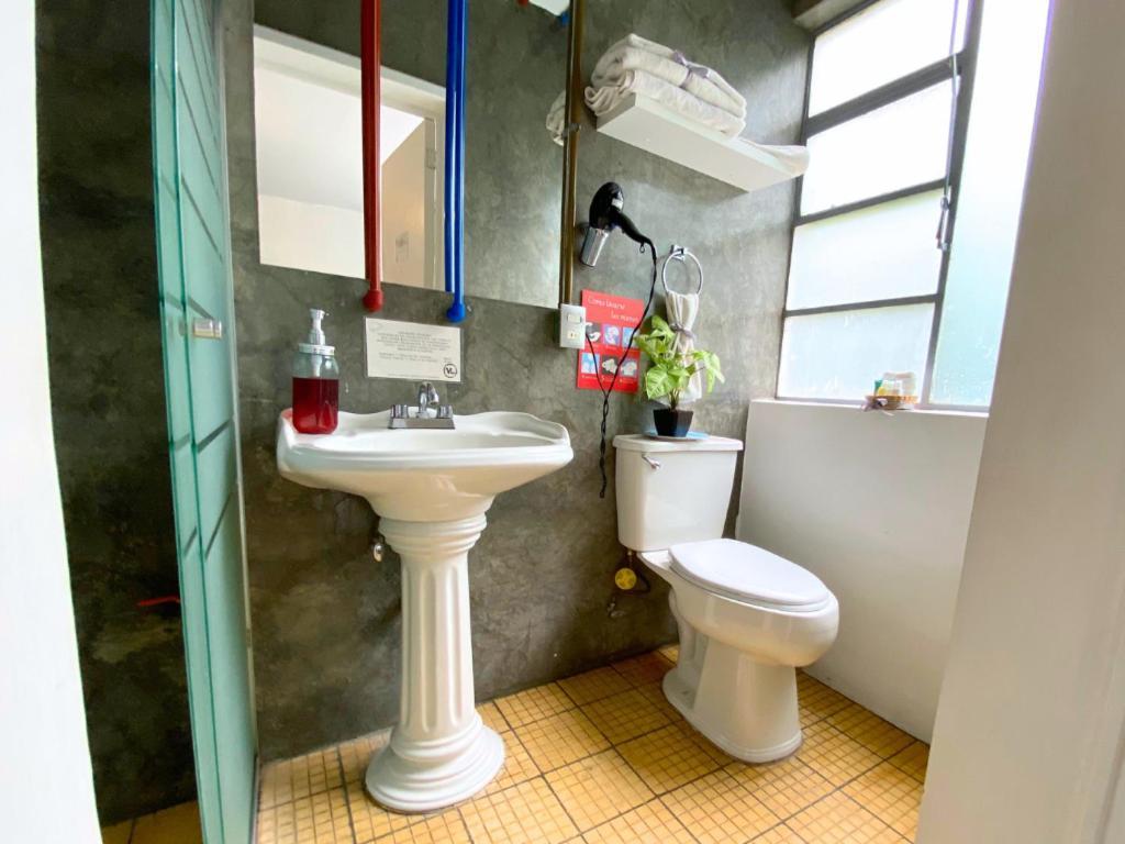 Vl Hotel Boutique Consulado Chapu גואדלחארה מראה חיצוני תמונה